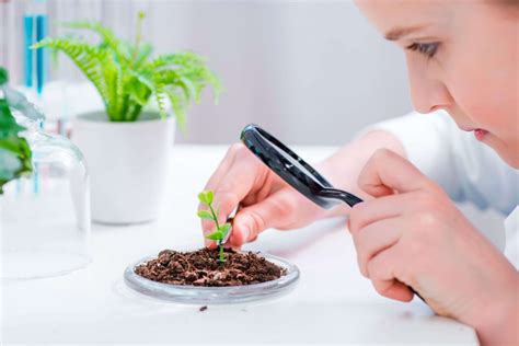 観葉植物 初心者 宇宙の果てまで緑を広げよう