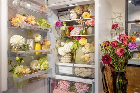 Should I Refrigerate Flowers?